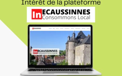 Quel est l’intérêt de la plateforme « InEcaussinnes » ?