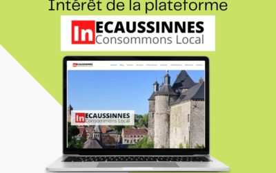 Quel est l’intérêt de la plateforme « InEcaussinnes » ?