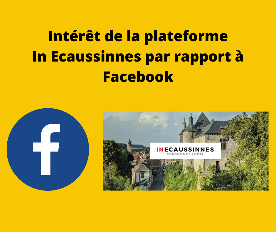 Intérêt de la plateforme In Ecaussinnes par rapport à Facebook