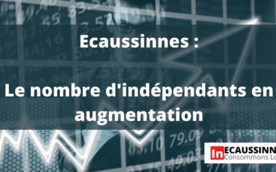Ecaussinnes, statistiques à propos des indépendants