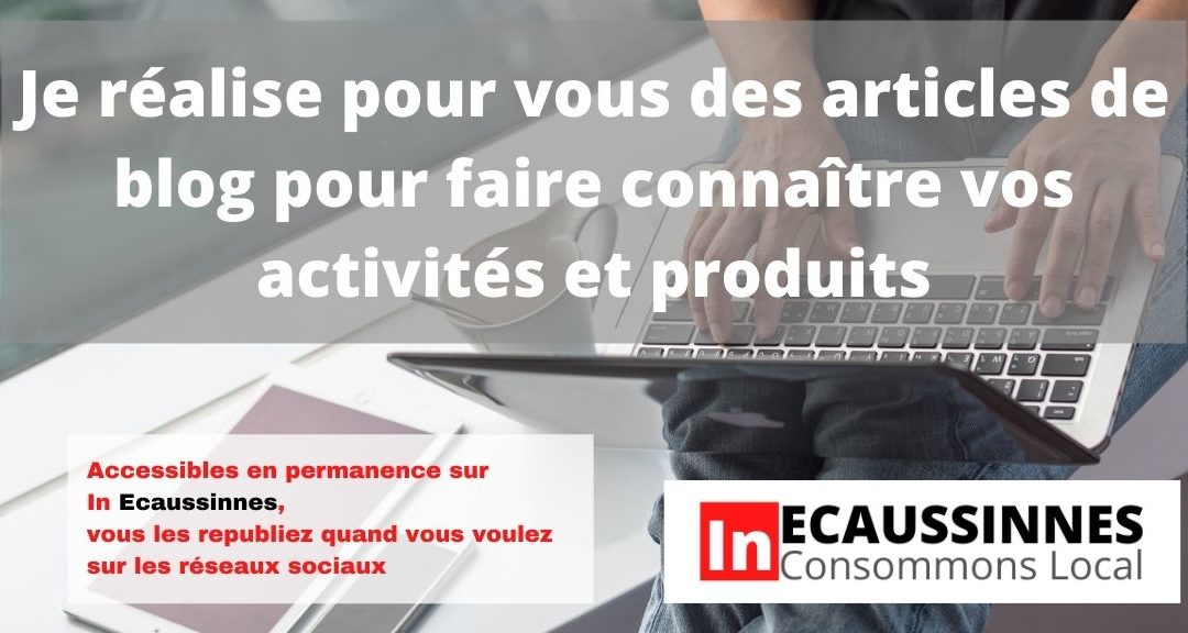 Réalisation d&rsquo;articles à republier sur les réseaux sociaux