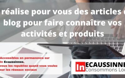 Réalisation d’articles à republier sur les réseaux sociaux